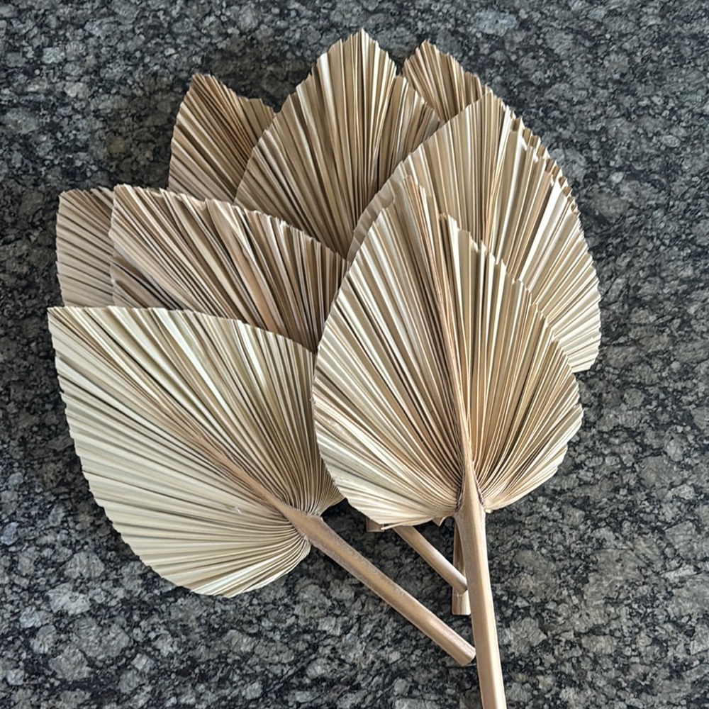 8 Piece Natural Dried Palm Leaves Set